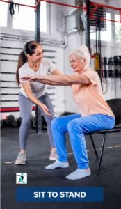 The Sit to Stand in home personal for senior e1779066743837